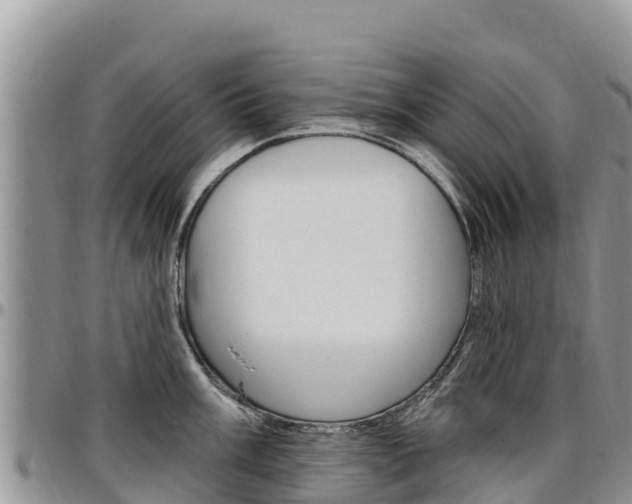 X0000097291003200802151054