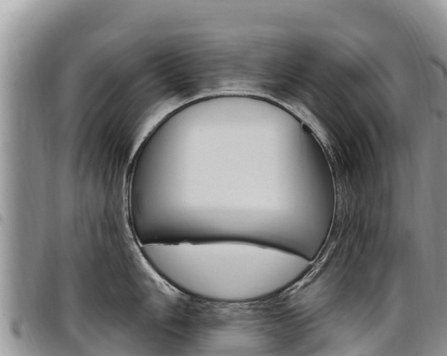 X0000097291006200802151054