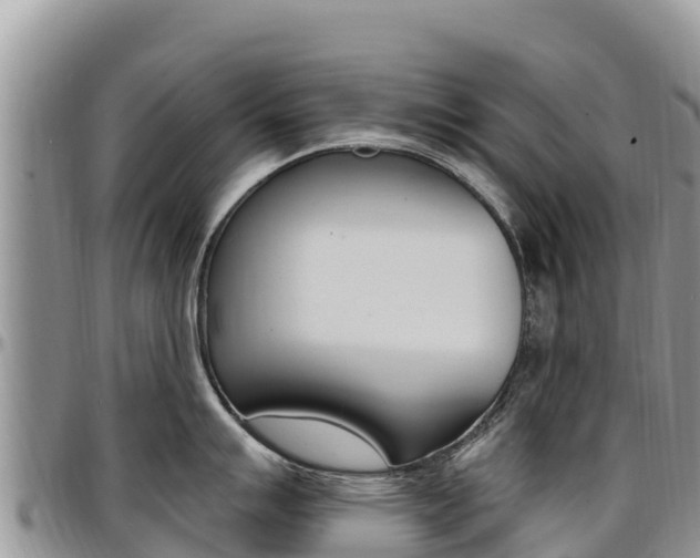 X0000097291007200802151054
