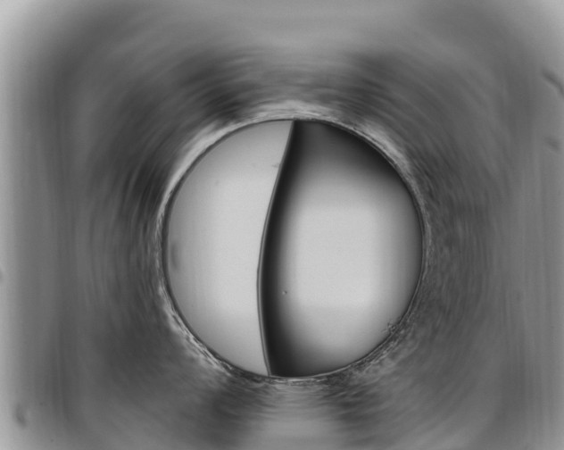 X0000097291008200802151054