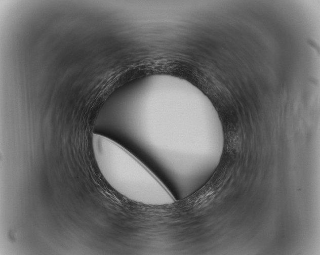 X0000097291010200802151053