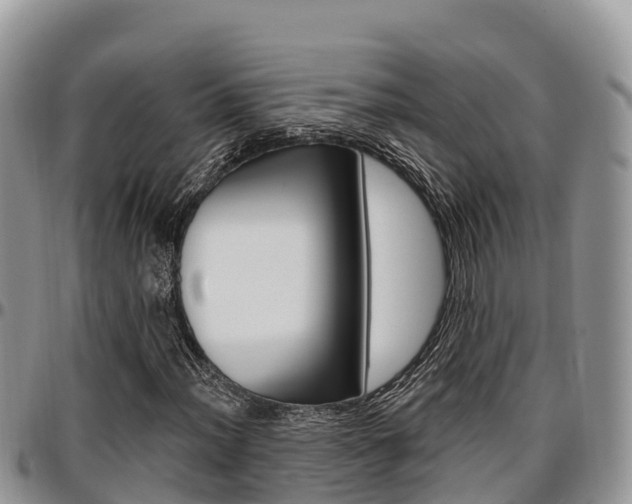 X0000097291012200802151053