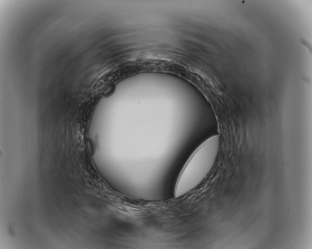 X0000097291013200802151053