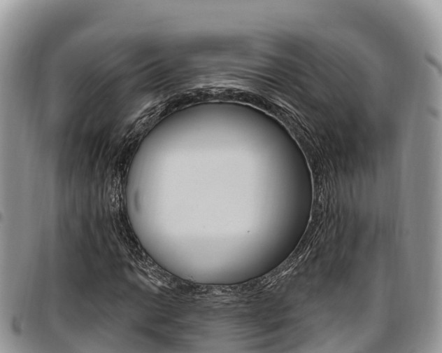 X0000097291014200802151053
