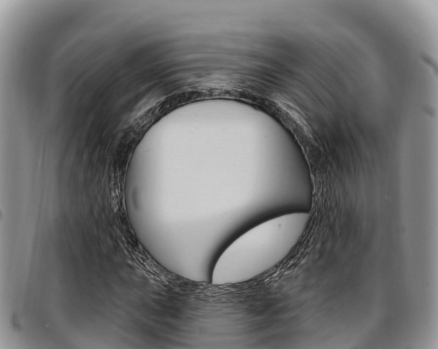 X0000097291015200802151053