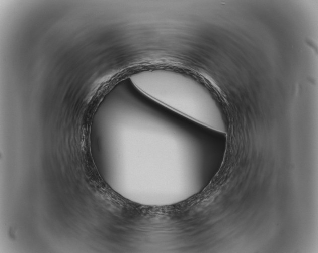 X0000097291016200802151053