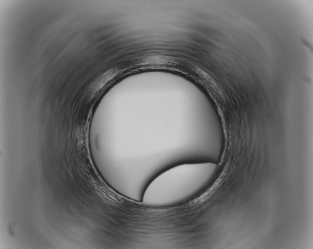 X0000097291017200802151053