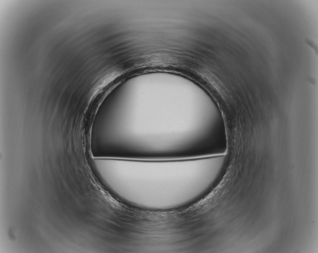 X0000097291018200802151053