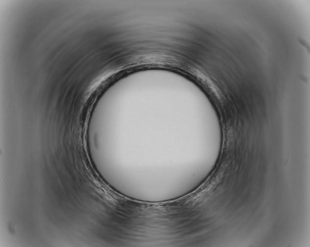X0000097291019200802151053