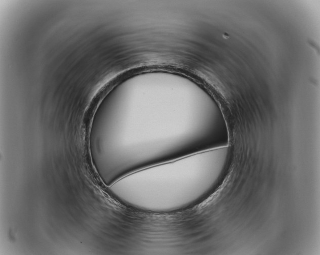 X0000097291021200802151053
