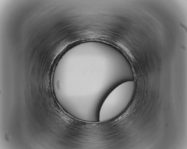 X0000097291023200802151054