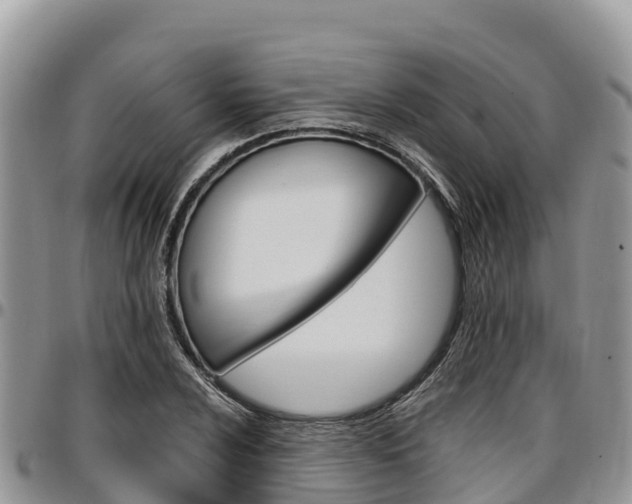 X0000097291024200802151054