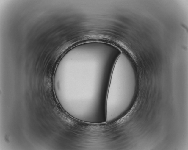 X0000097291025200802151054