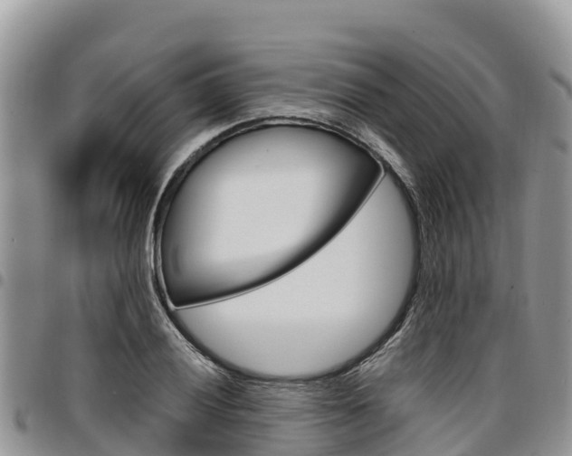 X0000097291028200802151054