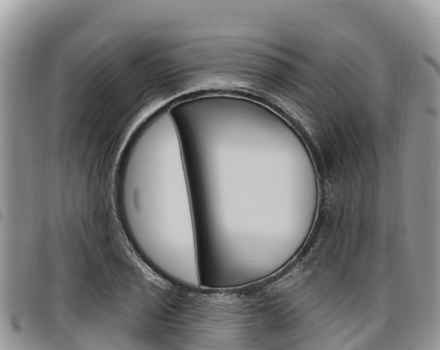 X0000097291029200802151054