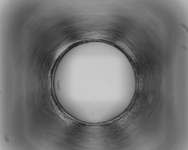 X0000097291031200802151054