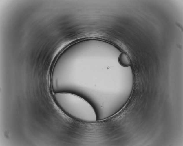 X0000097291032200802151054
