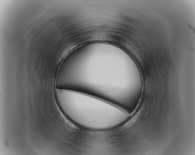 X0000097291033200802151054