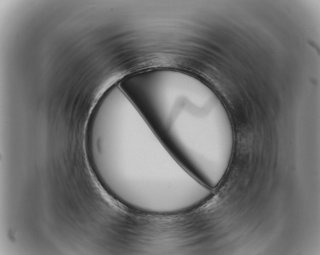 X0000097291034200802151054