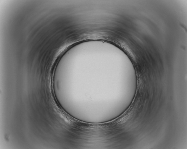 X0000097291035200802151054