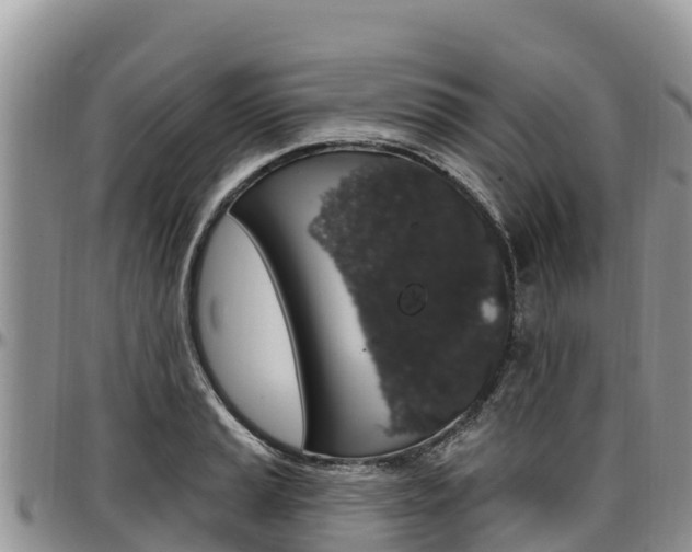 X0000097291037200802151054