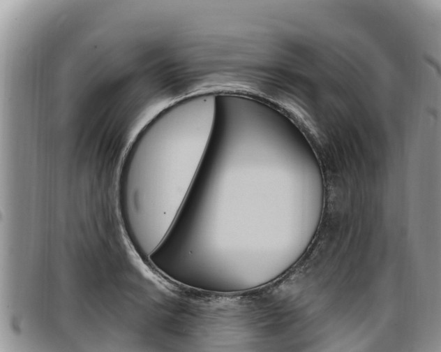X0000097291038200802151054