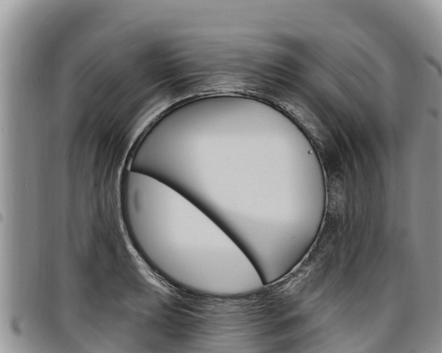 X0000097291039200802151054