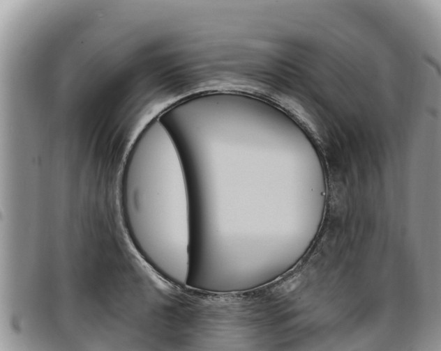 X0000097291040200802151054