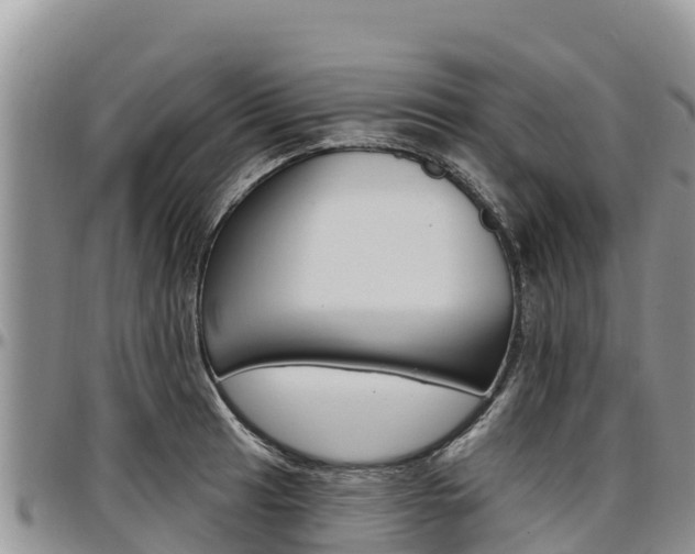 X0000097291041200802151054
