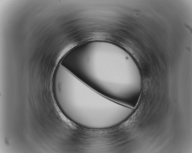X0000097291042200802151054