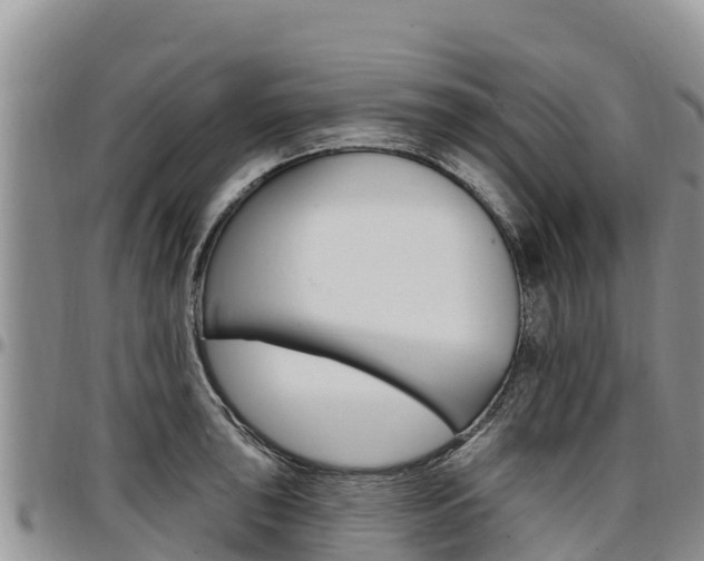 X0000097291043200802151054