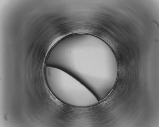 X0000097291044200802151054