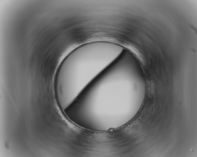 X0000097291046200802151054