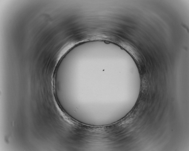 X0000097291047200802151054