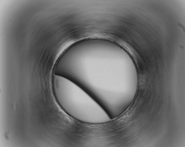X0000097291048200802151054
