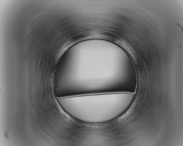 X0000097291049200802151054