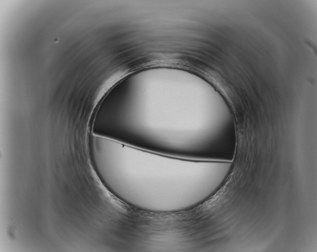 X0000097291050200802151054