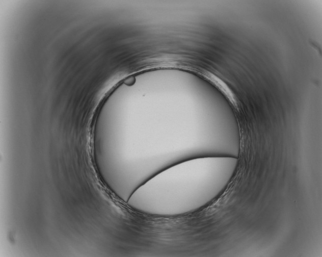 X0000097291051200802151054