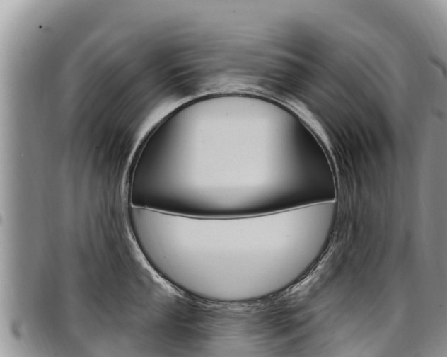 X0000097291053200802151054
