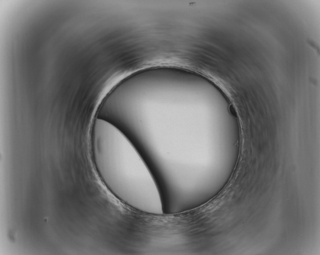 X0000097291056200802151054