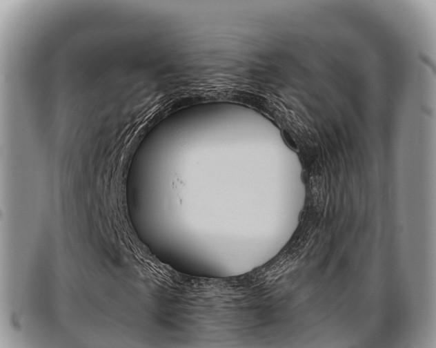 X0000097291057200802151053