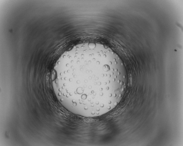 X0000097291059200802151053