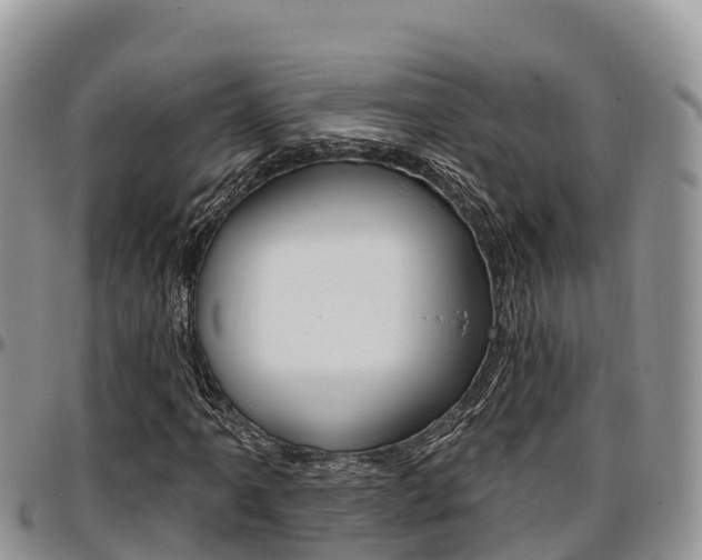 X0000097291061200802151053