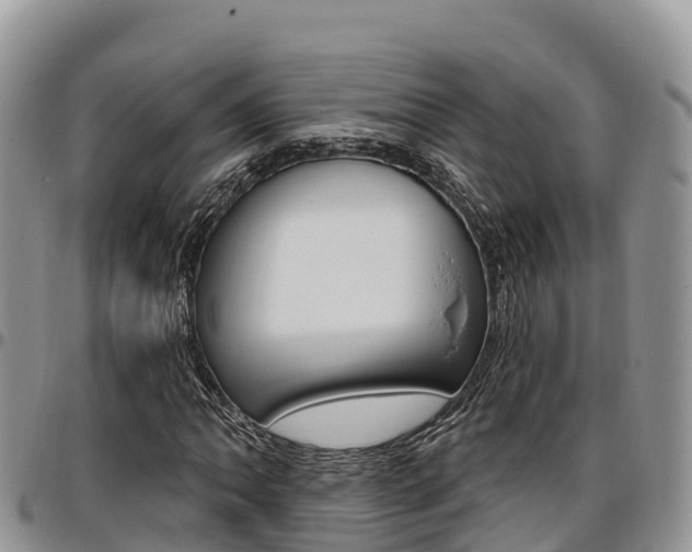 X0000097291062200802151053