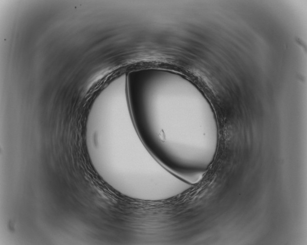 X0000097291064200802151053