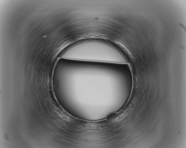 X0000097291065200802151053