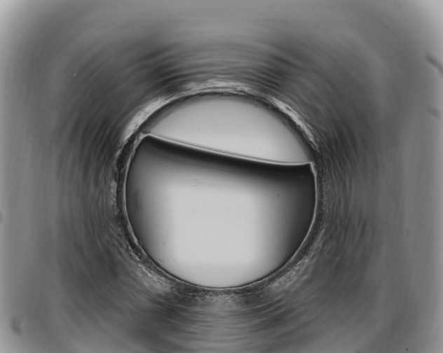 X0000097291066200802151053