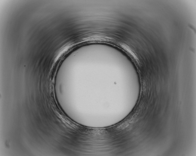X0000097291067200802151053