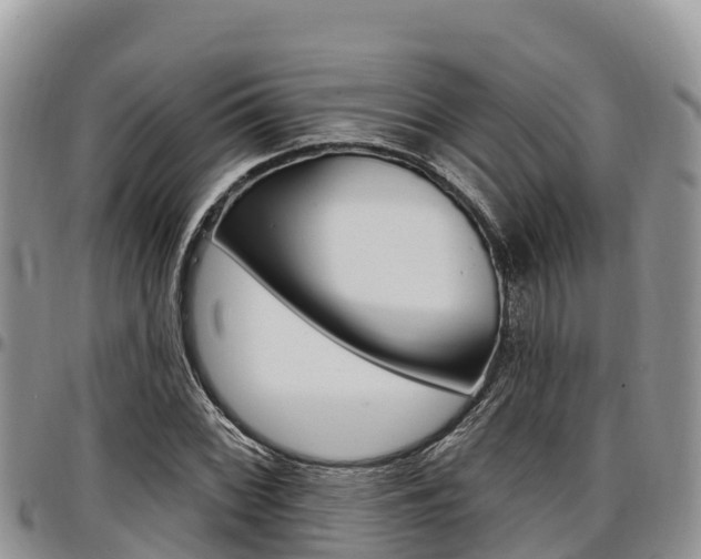 X0000097291068200802151053