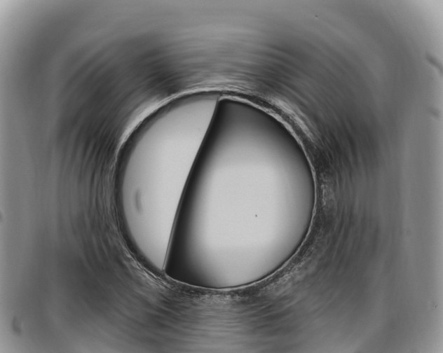 X0000097291069200802151053
